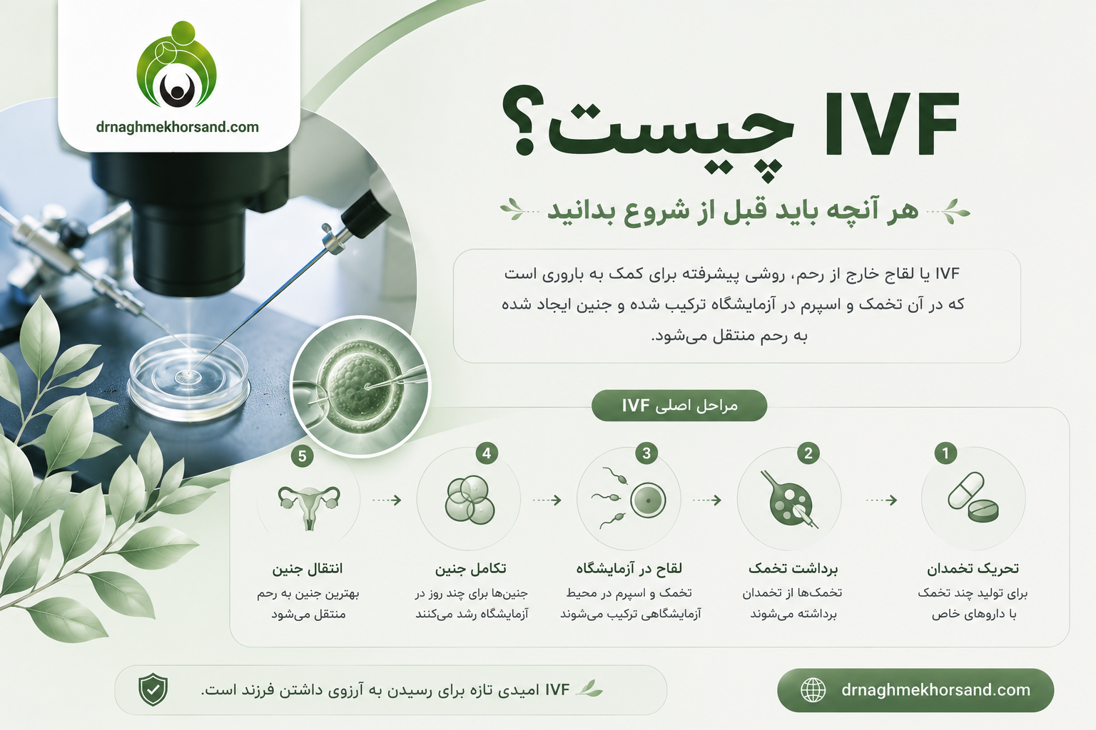 IVF چیست ؟ هر آنچه باید قبل از شروع بدانید
