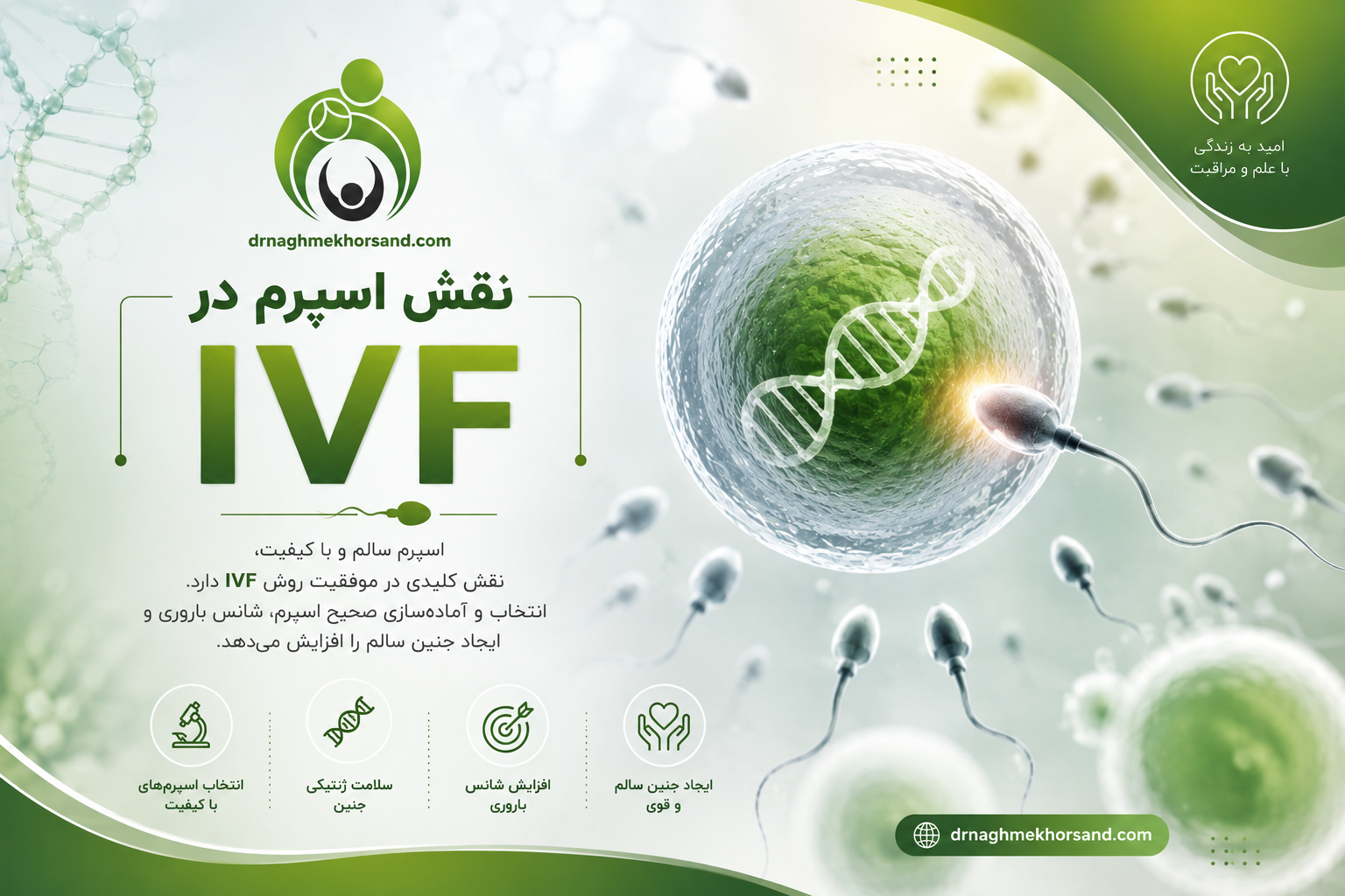 نقش اسپرم در IVFچیست؟