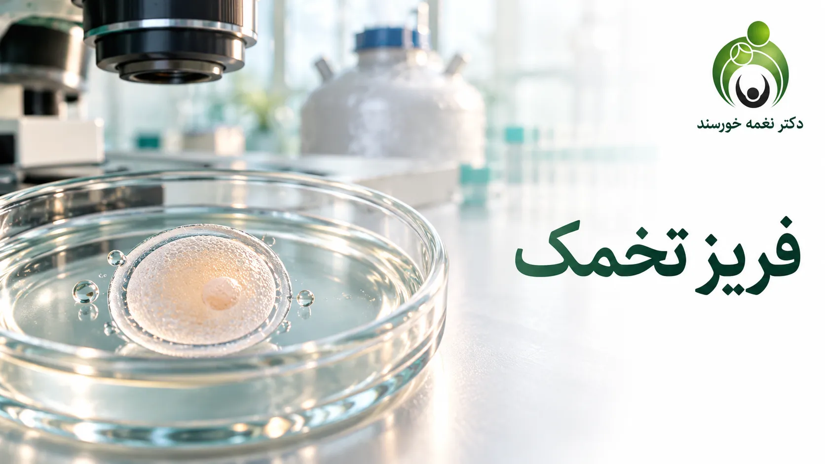 تصویر آموزشی تخمک لقاح‌نیافته در ظرف آزمایشگاهی با عنوان فریز تخمک
